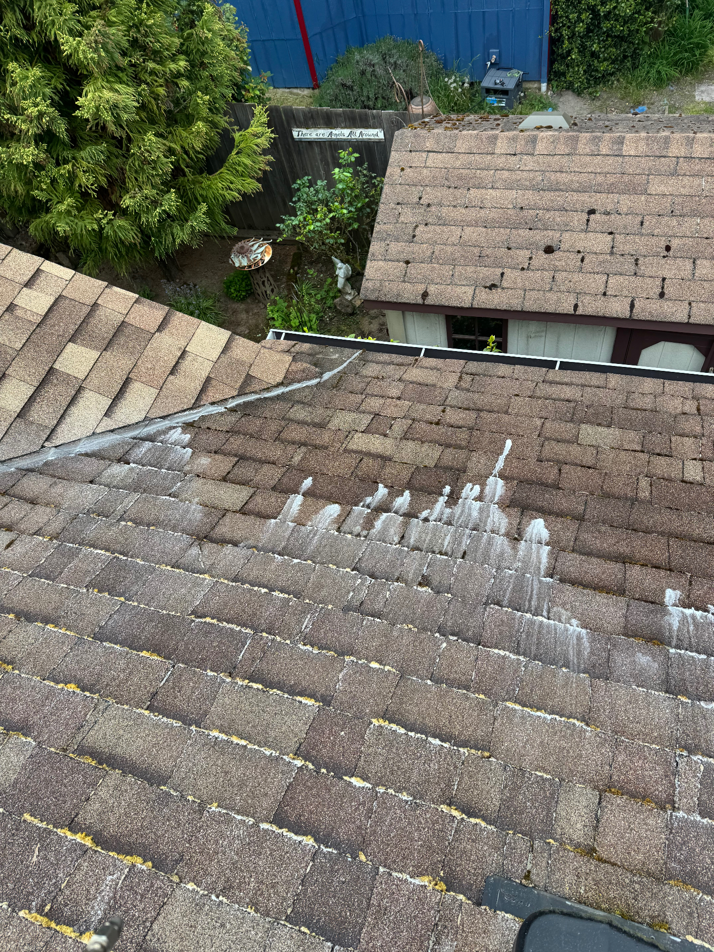 Roof Cleaning